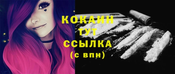 apvp Новозыбков