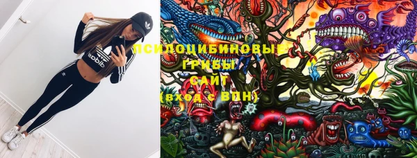 стафф Абдулино