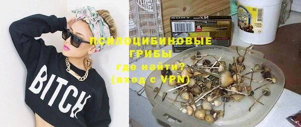 стафф Абдулино