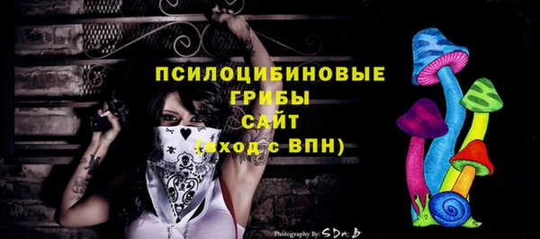 стафф Абдулино